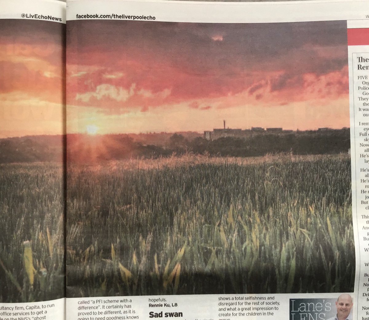 Steve Samosa tweet media