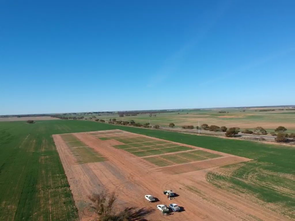 Nathan Sydes (@sydesy83) on Twitter photo Had a quick walkthrough the @LMKManangOuyen trial site today. Looking pretty good! Had a quick walkthrough the @LMKManangOuyen trial site today. Looking pretty good!