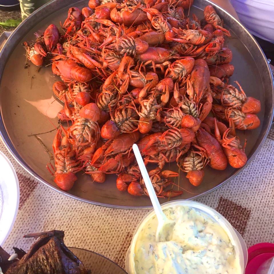 kvdd___'s tweet photo. 🦞🤤 https://t.co/NKvJsKsJZD