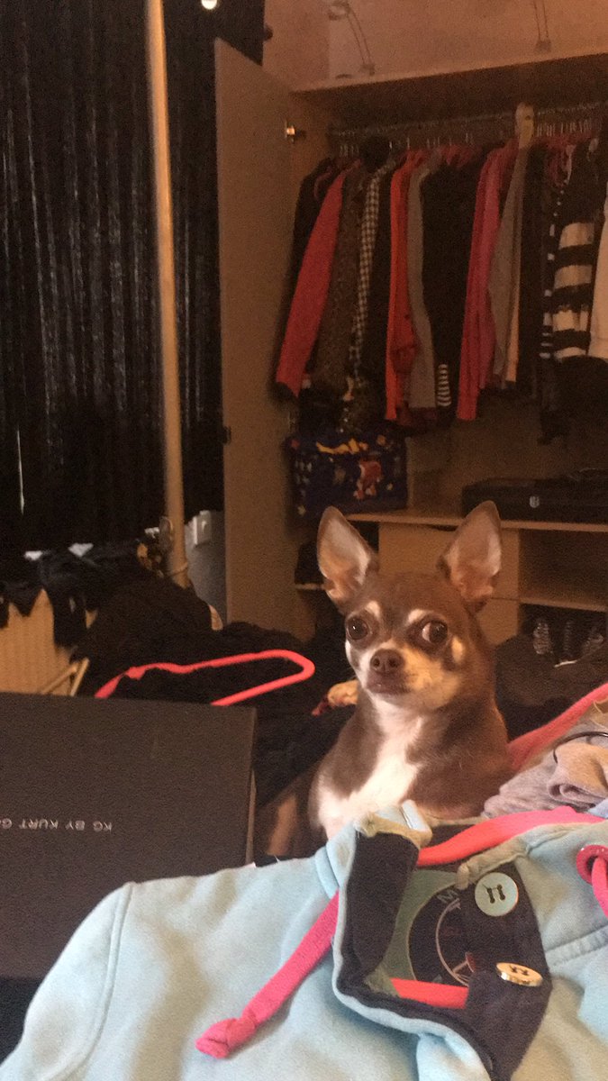 Its help Mummy day today . Epic wardrobe  sort out day . Mine is next !!!!! #wardrobe #celebdog #