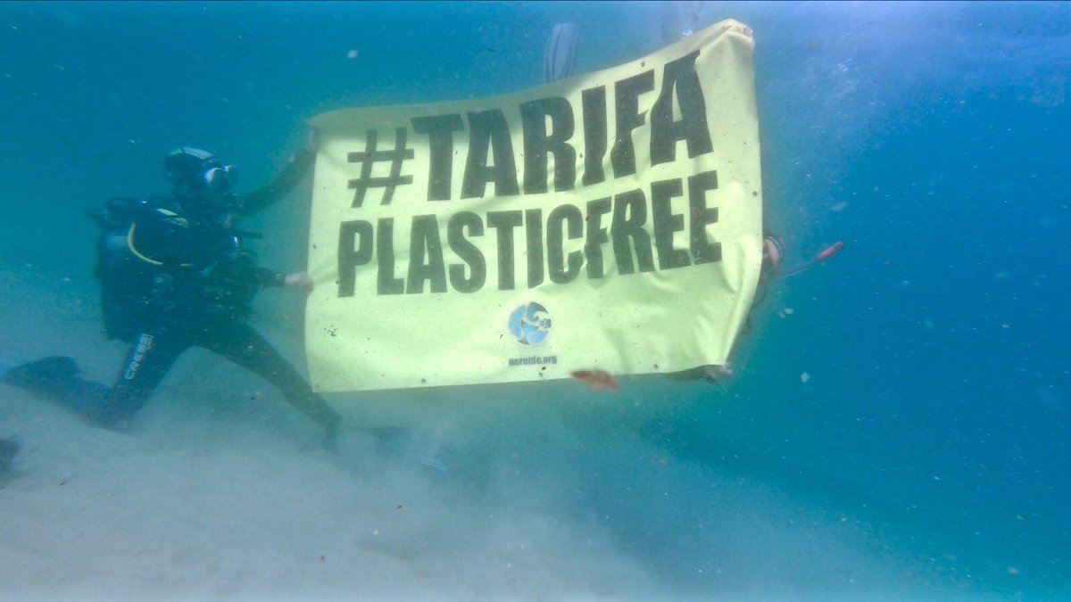 nereide_org's tweet photo. #TarifaPlasticFree #ActivismoEcologico #ActivismoUnderwater https://t.co/lteIdEcF0l