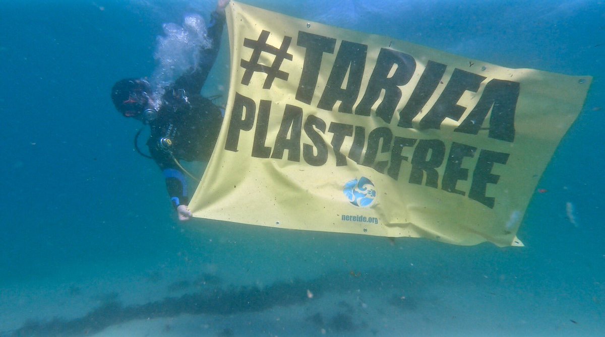 nereide_org's tweet photo. #TarifaPlasticFree #ActivismoEcologico #ActivismoUnderwater https://t.co/lteIdEcF0l