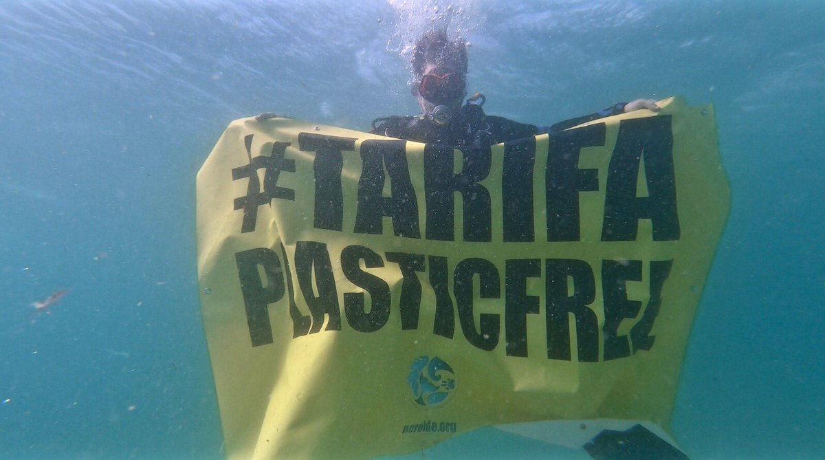 nereide_org's tweet photo. #TarifaPlasticFree #ActivismoEcologico #ActivismoUnderwater https://t.co/lteIdEcF0l
