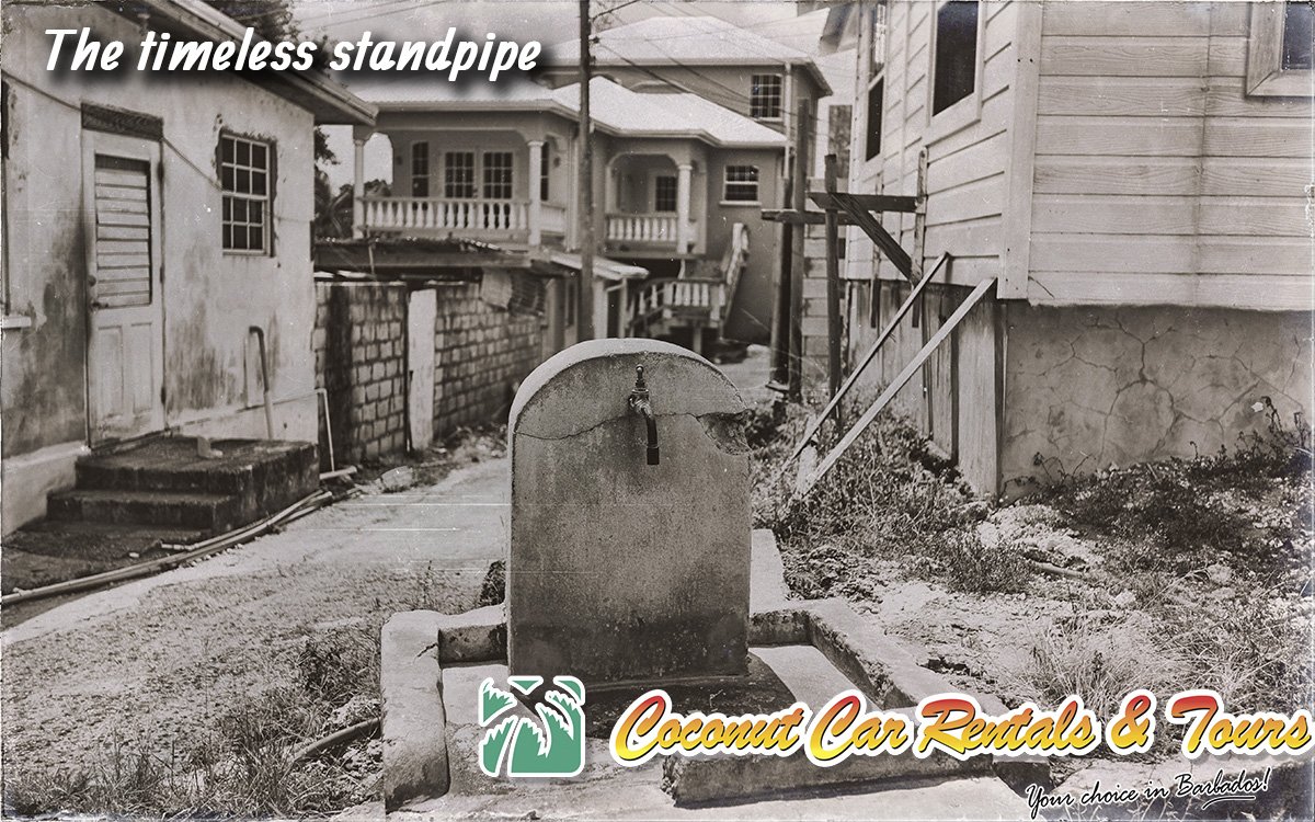 Once a very common sight around the island you can still find a few traditional communal stand-pipes around the island.  These are largely only markers of the past now, but are still a common spot for a quick drink on a hot day.  #barbados #history #explorebarbados