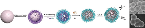 angew_chem's tweet photo. Surface #micelles on #silica particles fabricated by #coassembly of #PolymerBrushes and #BlockCopolymer chains, tuneable #SurfaceProperties, Li Liu, Hanying Zhao #Nankai University  https://t.co/H6LW5kSSvX https://t.co/UPiKaL5F8W