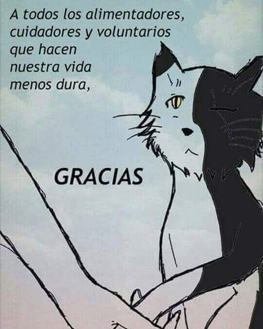 Luz83203178's tweet photo. Gracias 💜💜💜 https://t.co/mPoNSjHWU5