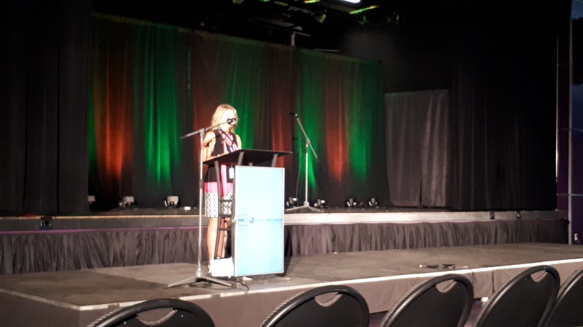 nbasbo_aaasnb's tweet photo. Monique Boudreau - Directrice generals DSF-S.  #AES_SAE2019 https://t.co/cp2TxnX9xI
