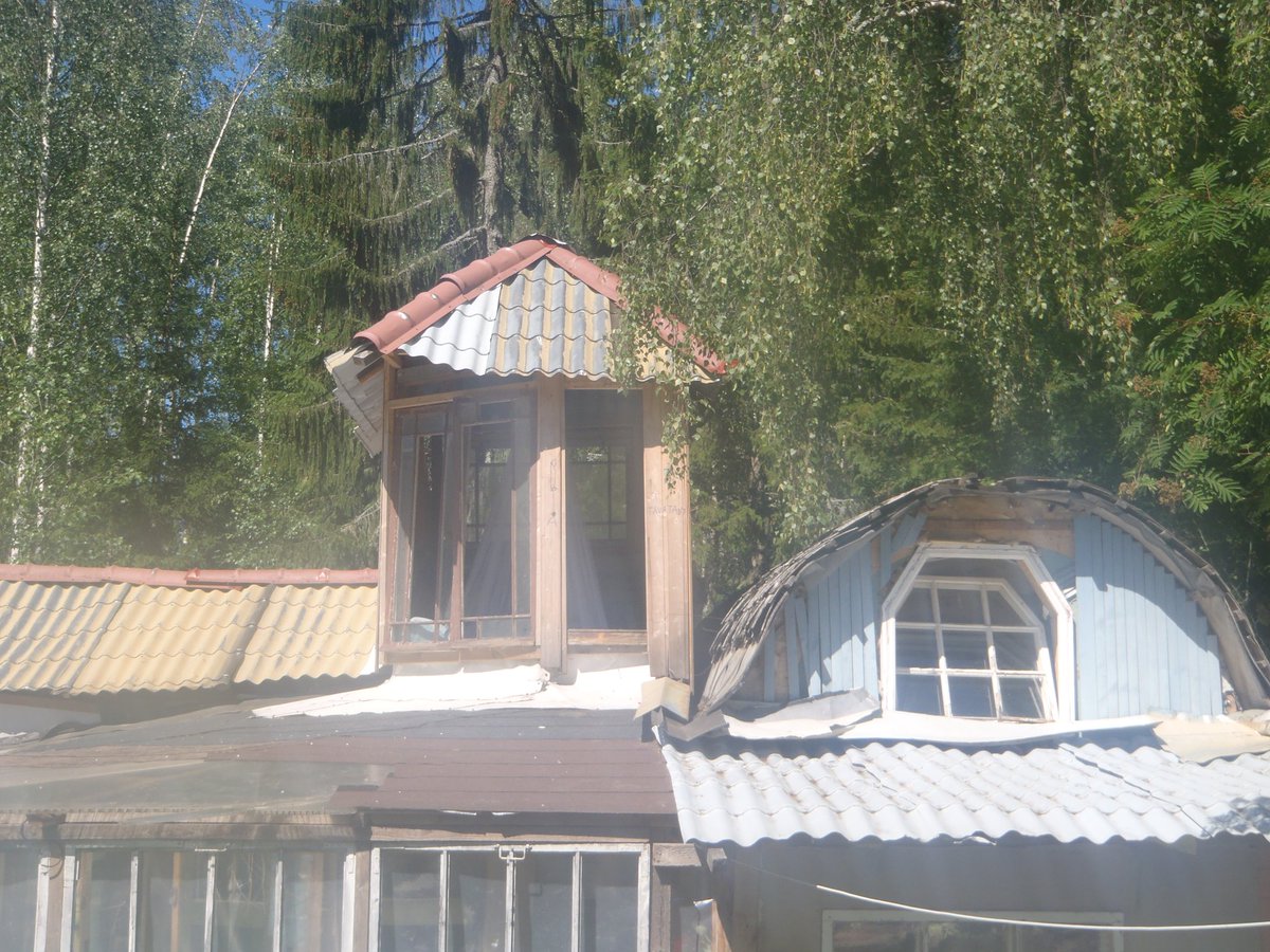 Ilonka Marselis tweet media