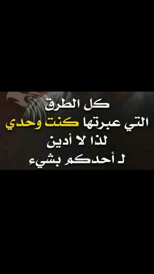 ياعلي ٢ tweet media