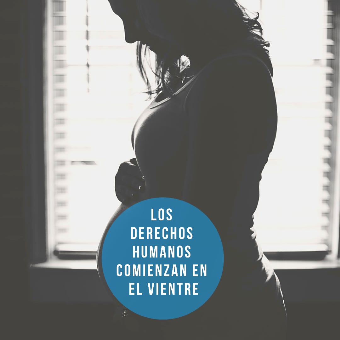 Evangxlavida's tweet photo. Hoy se vota la designación del Defensor de la niñez y adolescencia. La opción del gobierno fue elegir una postulante q está a favor del #aborto. Rechazamos la elección de Marisa Graham. Necesitamos un Defensor del ser humano en todas sus etapas
#RechazoaGraham
#DefensorProVida https://t.co/L9zSp93uA3