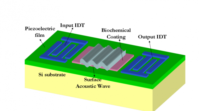 24marketreports's tweet photo. #Surface_Acoustic_Wave_Filter Market with strong applications And Future Prospect. Download Free PDF sample copy Major Industry Outlook @ https://t.co/by1tiDOWQM https://t.co/XnkcrEZeNR