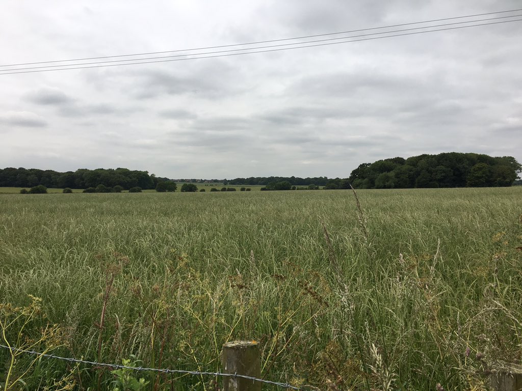 daveliverbirder's tweet photo. A couple more hours of #quailfail around the Hale Plains. Hobby, stacks of Swift, finches, Grey Partridge but otherwise pretty quiet #birding #pwc2019 https://t.co/trMa9lmDRq