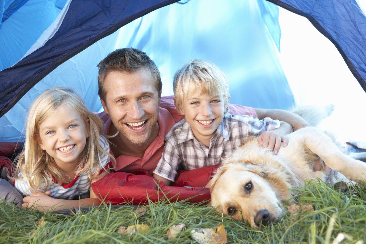 Camping this weekend? Our campsite is looking busy 😃 and the forecast for this weekend is looking good 🌞🌞so if you are travelling far please call ahead to check availability for this weekend on 01929 480 570 - thank you ⛺️ #visitdorset #camping #heatwave