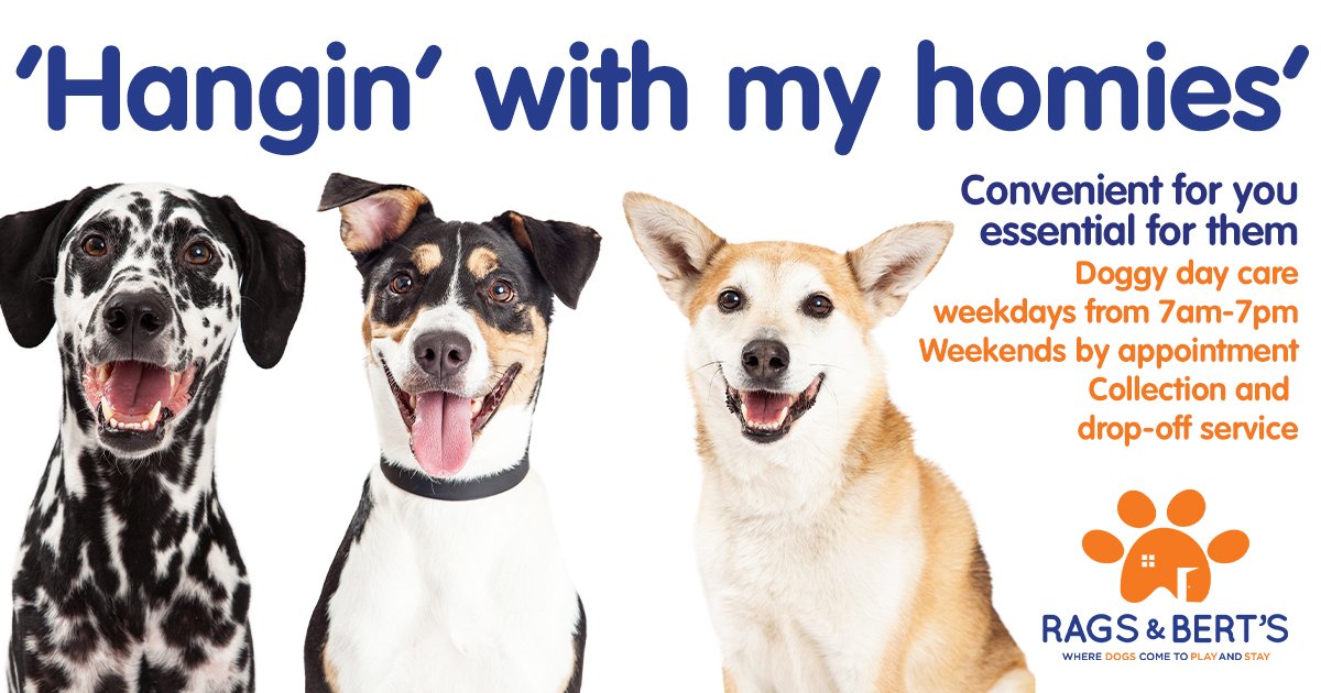 Best day ever!
At Rags &amp; Bert's, your loved one is looked after by caring, qualified professionals, whilst they are having an amazing time with all their friends! 
Call 0118 207 7788 to register for our free 30-minute Play &amp; Stay assessment, or click ragsandberts.co.uk/8/Doggy-Day-Ca… …