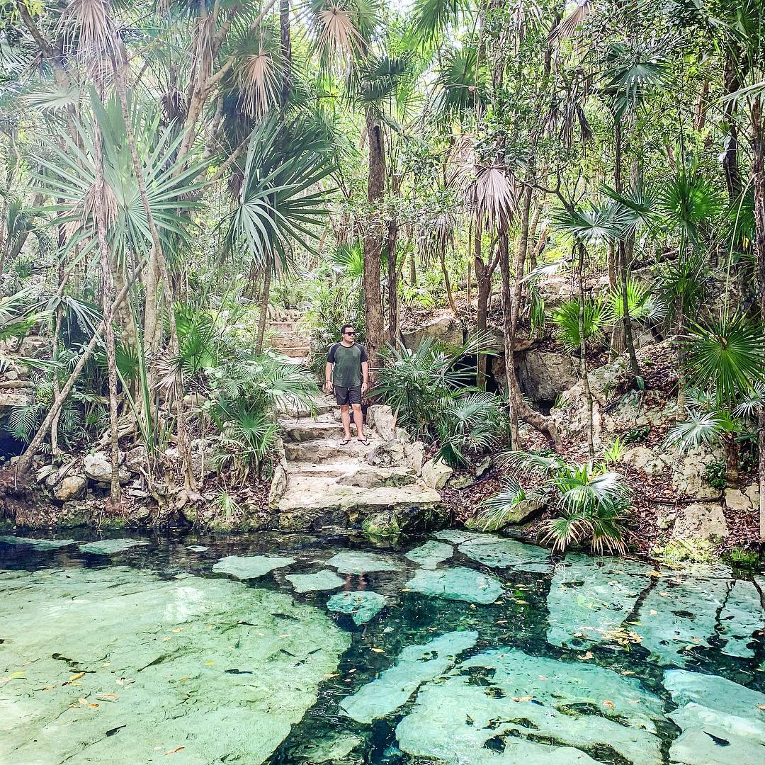 PDelCarmenMx's tweet photo. If you're a newbie when it comes to the Yucatán's cenotes (water-filled sinkholes), a good place to start is the Cenote Azul, south of the town of Puerto Aventuras of the Riviera Maya, a 20-minute drive from Playa del Carmen. You'll be hooked! ✨ 

📸: _fulltimeflyer_ via IG https://t.co/2QOQtIt9w1