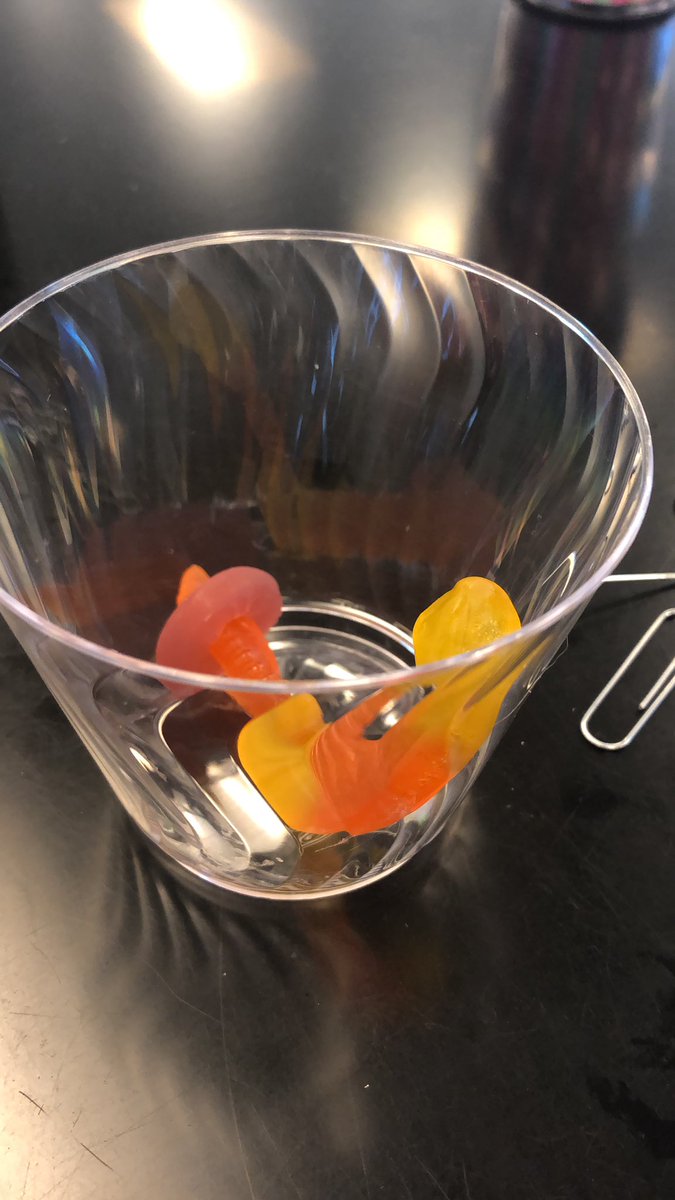 tmwhite14's tweet photo. Oh Fred! Youโre Welcome.
If you love your life saver so much, why was it so hard too get you in it?!? @kcoffeyteaches @kwsmith0901 #savefred #gcsp23 #gcsk12 https://t.co/hNqCa3VHkX