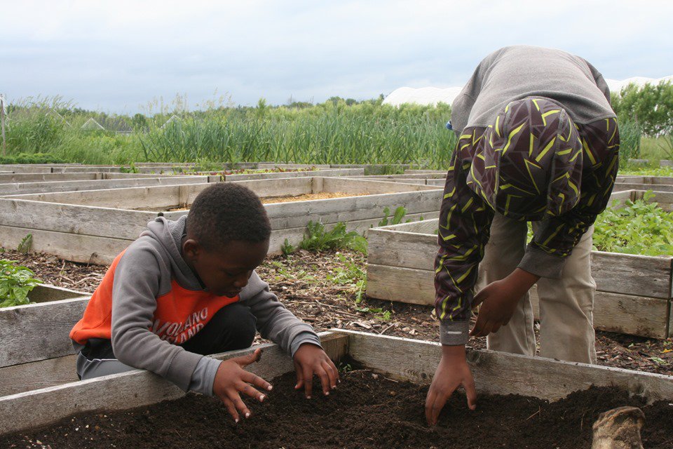 DREAMprogram's tweet photo. #SummerCorps is kicking off with a bang! Vermont youth spent the day at Common Roots, Inc learning about the farm, playing games, and harvesting lots of kale, radishes, and herbs to eat with lunch. 
.
.
#TheDREAMProgram #dreamBIG #SummerCorpsVT #CommonRootsVermont https://t.co/OT0y6L3qGg