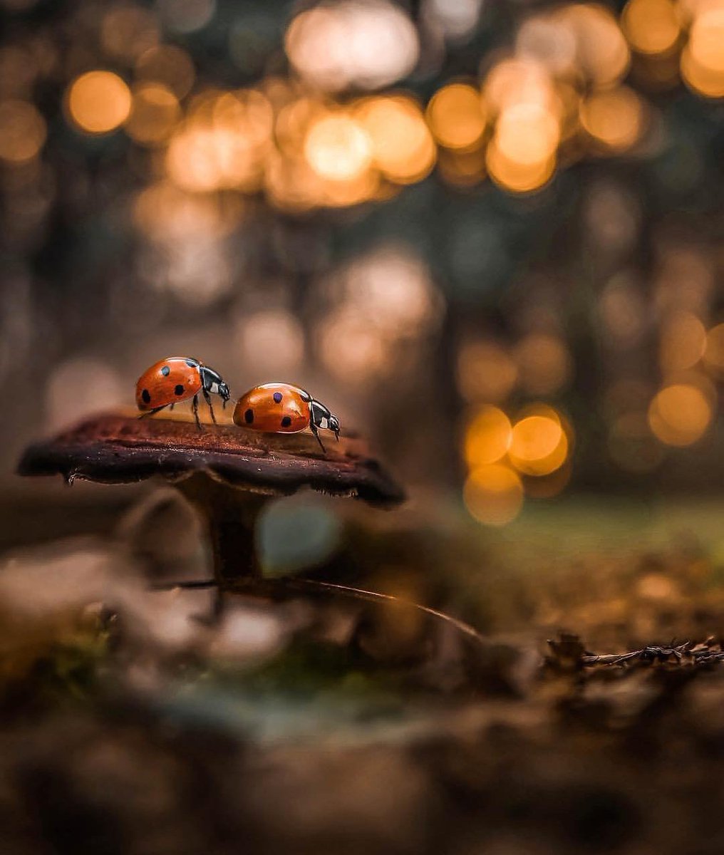 여름
만발하던 꽃들은
이제 낙하를 했다

꽃진 자리 매달린
작은 열매들을 키우기 위해

햇살을 뜨겁게
그들을 안아주고 있다

덥다고 투정 부리는 사이에도
열매는 묵묵히 커나가고 있다

여름은
가을을 준비하느라 바쁘기만 하다

소리 없이 세월이 흘러가고 있다
너도 나도 익어가고 있다...