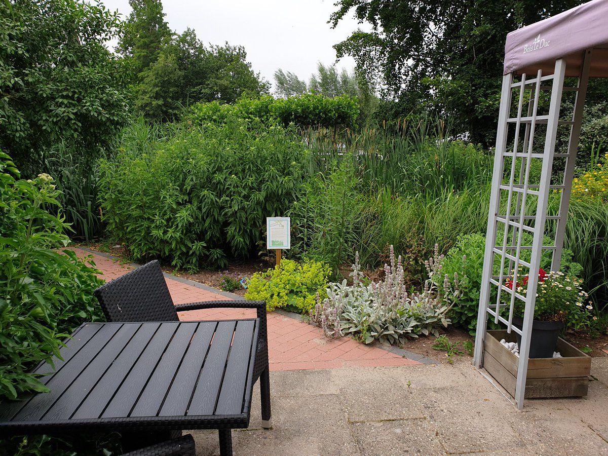 patrick42koning's tweet image. @_maisonpatrick #beleeftuin #respijthuis #respijtzorg #overbelast #mantelzorg #bleskensgraaf #adempauze #molenlanden