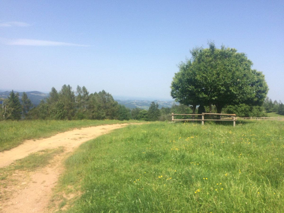 v_brandner's tweet photo. Der #Remschnigg in der #Südsteiermark, Österreichs südlichste Alm, ein Hochplateau an der slowenischen Grenze - ein wunderbares Wandergebiet! https://t.co/T273z8D3GZ