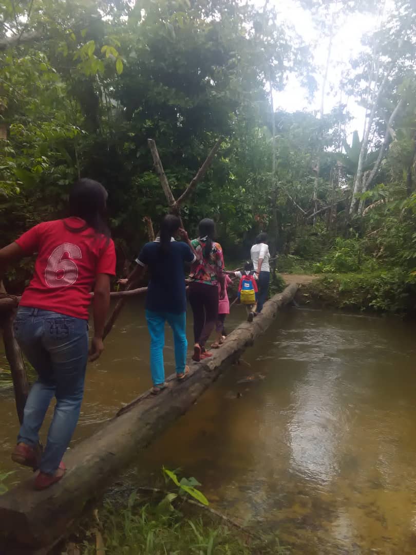 Fundaproalamaz3's tweet photo. #26Jun. Visita a la CDA 0200087 comunidad indígena piaroa ubicada en el eje carretero sur del Edo Amazonas, activos con el conuco de siembra.#somospuebloindigena #amazonashaciendopatria @NicolasMaduro @blancaePSUV @JESSICALALAMA @Fundaproal3R https://t.co/4p5ralsejH