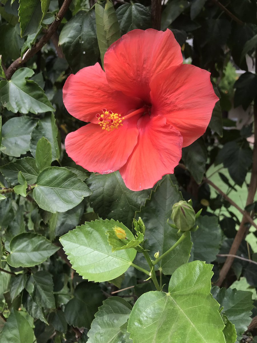 Pixie_Poet's tweet photo. Sometimes you just have to revel in wonder.
#naturephotography
#pixiepoet #nofilter https://t.co/WoTyGbbOuh
