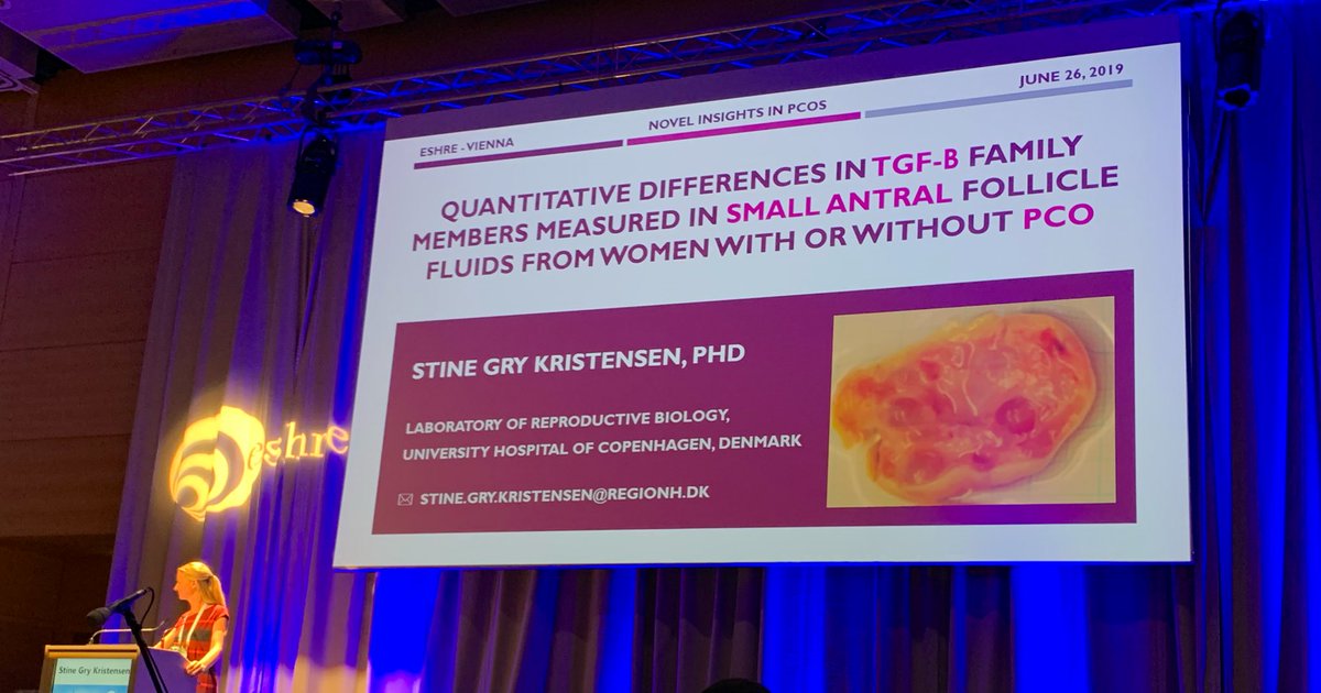 YMakanji's tweet photo. Excellent talk! Unravelling the role TGFbeta members during ovarian follicle development in PCO patients #ESHRE2019. Novel ELISAs from @AnshLabs #inhibins #activins #AMH #GDF9 https://t.co/wAdHuYXauo