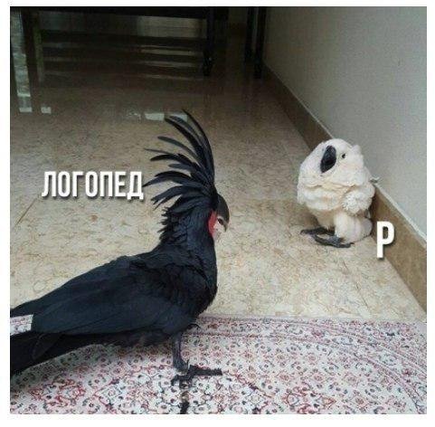 D9__ntqXUAIYpSC?format=jpg&name=small