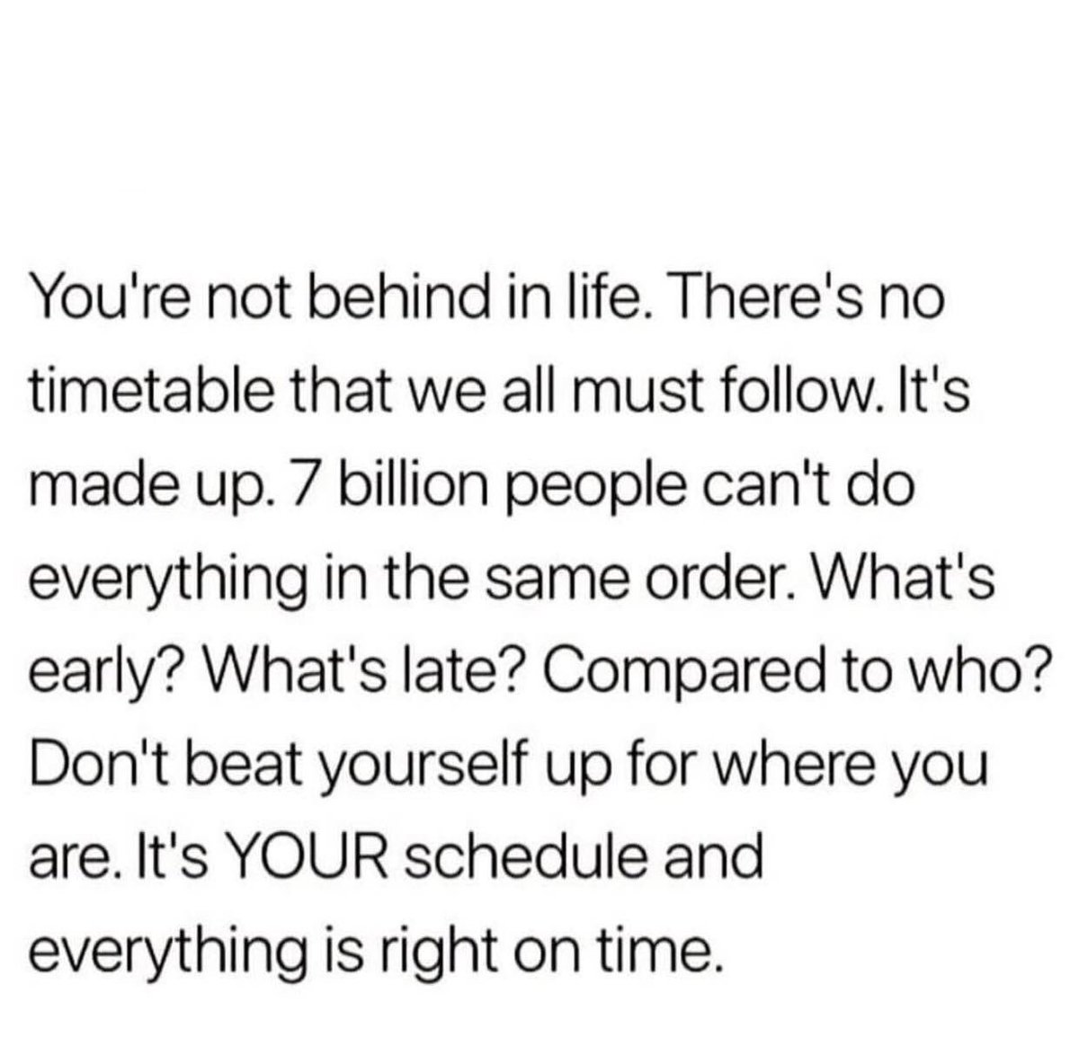 Rizopia Pasta tweet media