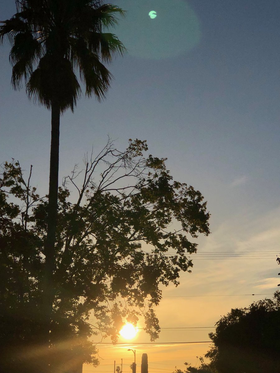 DeepDish_'s tweet photo. Good morning (((((((EchoesOfGod)))))))
#RadiantBeings #TheGREATRAYS Take a moment to bathe your mind, body, and soul in some 432hz
1m...5m...15m
#ProjectCoherence #RaiseVibration #ThatSuperNaturalLife
Have a wonderful day. 🙏🕊☀️🏝🌺👸🏽💗
https://t.co/zTZpJdOIc4 https://t.co/D1XWcYeTu6