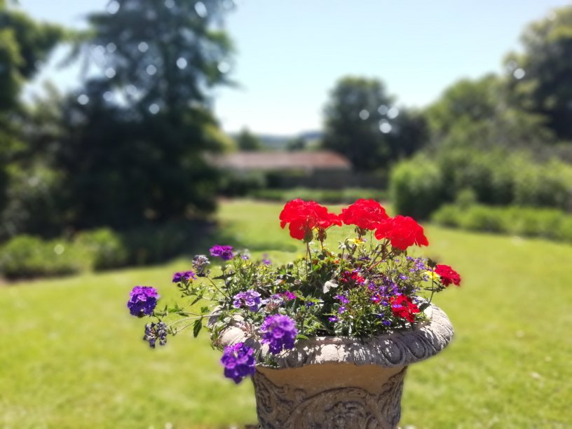 dudleymbc's tweet photo. 👏 Two parks in Dudley have won national awards! 👏

At last night’s prestigious @hortweek awards:

Priory Park - Best Heritage Park WINNER. 
Mary Stevens Park - Best Parks Restoration or Development Project WINNER.

Well done to everyone involved!

https://t.co/gba5Q61drh https://t.co/5ttsEKGlI6