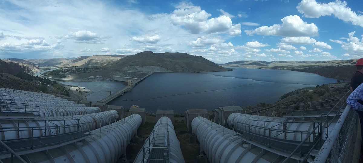 Spearhead Potatoes tweet media