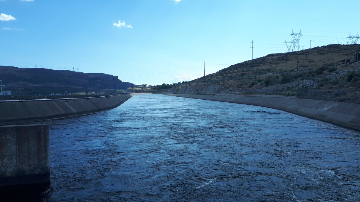 Spearhead Potatoes tweet media