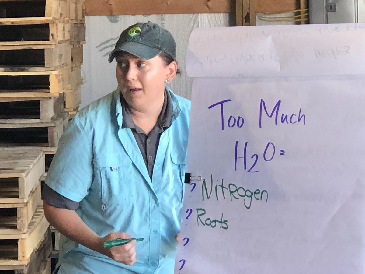 AndyNewell2's tweet image. We’re finally getting some Field Check-Up Series training done with our awesome Seedsmen in W.C. Indiana this late spring/early summer.  Lots to be looking for in our customer’s fields this year to help protect the crop, and ultimately yield. #grow19 #smsaw