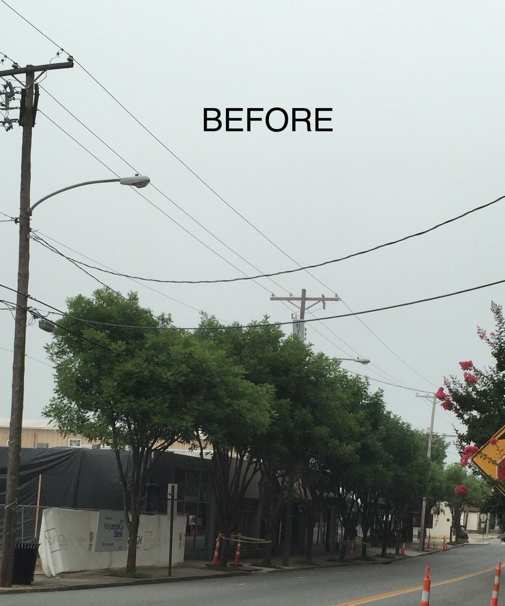 MicaJTurner's tweet image. Entergy butchering trees along Kavanaugh in the Heights this morning! The Little Rock Heights Neighborhood Assoc. has invested thousands of dollars planting and maintaining these trees, and just recently paid $4,000 to have them trimmed! #entergy #ARNews #KATV #KARK #KTHV