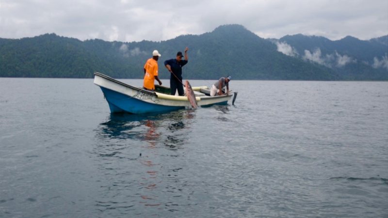 #DíadelPescador 🚣‍
🎣 Una oportunidad para las familias de Nuquí a través de la pesca sostenible.
programaacua.org/el-emprendimie…