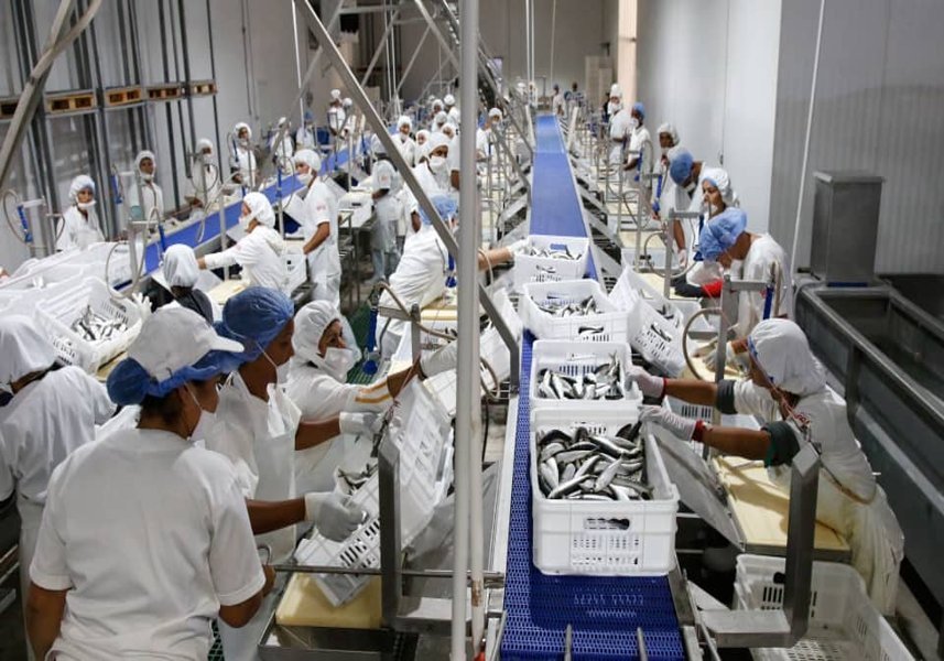 #26Jun | 📣 ¡LA ETIQUETA DEL DÍA! ⏩ #ProducciónParaLaPatria 

Solo con el trabajo y esfuerzo de todas y todos lograremos consolidar la Venezuela potencia, productiva y próspera. ¡Producir para Vencer!