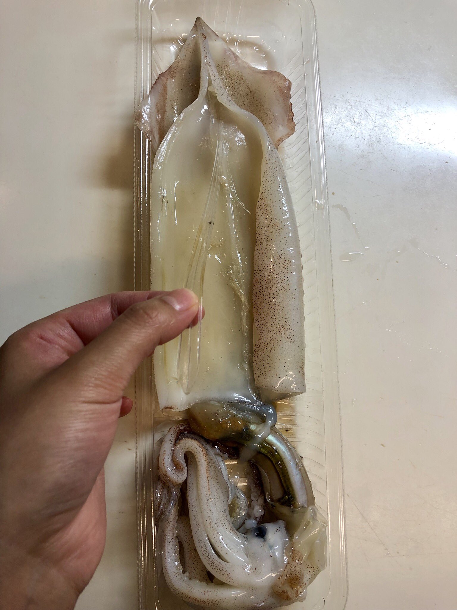 おりえ キッチンバサミでスルメイカが綺麗に捌けたのでメモ イカとハサミを用意する エンペラの付いている反対側を縦に切る 目の上を持ってワタを抜く 背骨を取る T Co Fptmdmrvpr Twitter