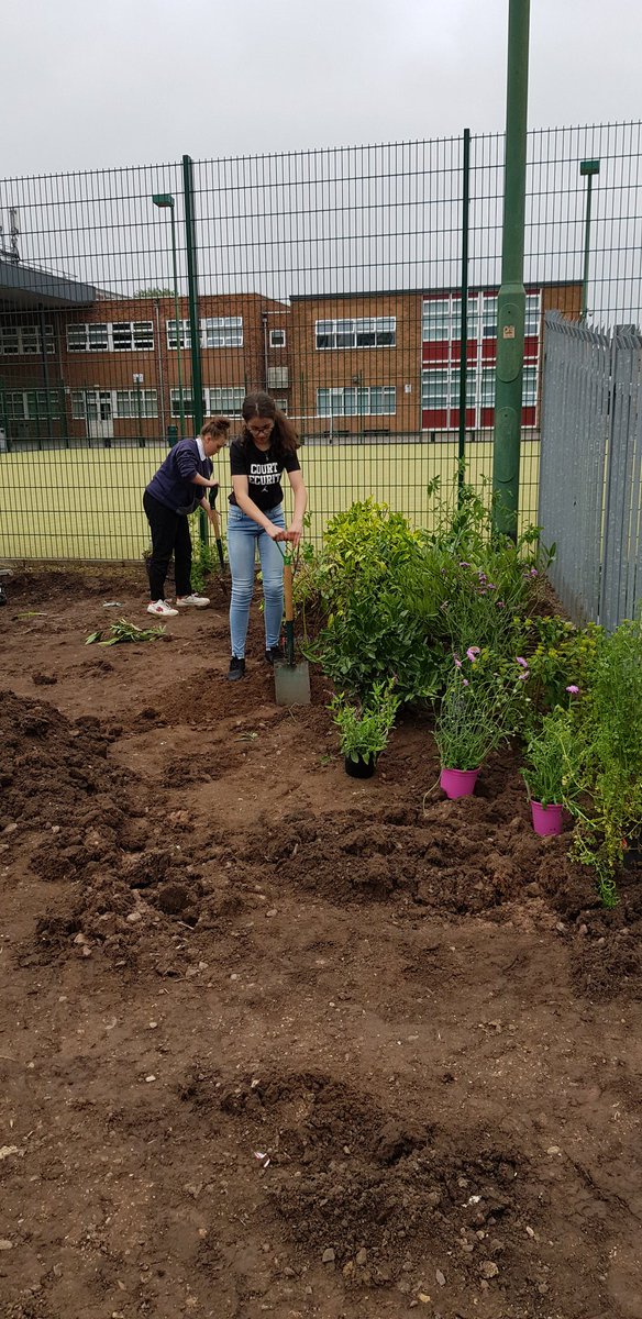 jcgardendesign: Garden Design Academy Ireland