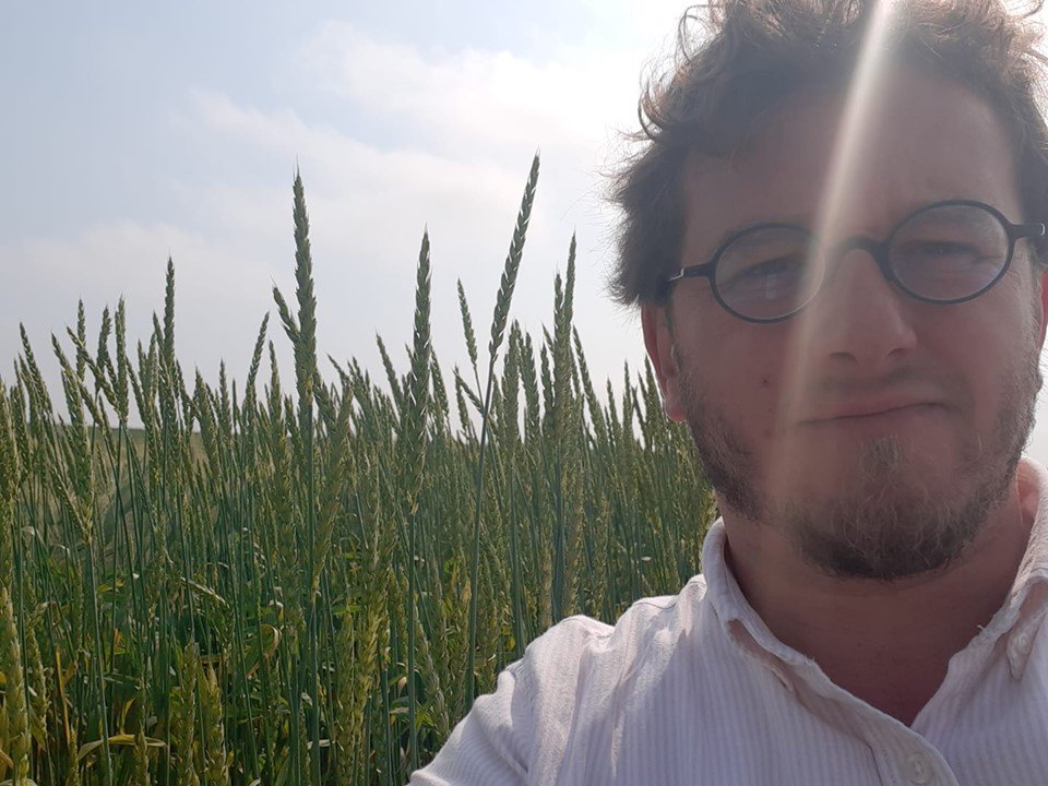 FermonVincent's tweet photo. Certains blés anciens tjs cultivés dans les @hautsdefrance pour la panification 🍞🥖 atteignent presque la taille moyenne d'un homme (1,79m) ; je n'y suis pas, mais pas jaloux, je trouve ce travail de conservation très enrichissant. Reportage dans @TerresetTerr_ #céréales #biocer https://t.co/xj7gLPy30T