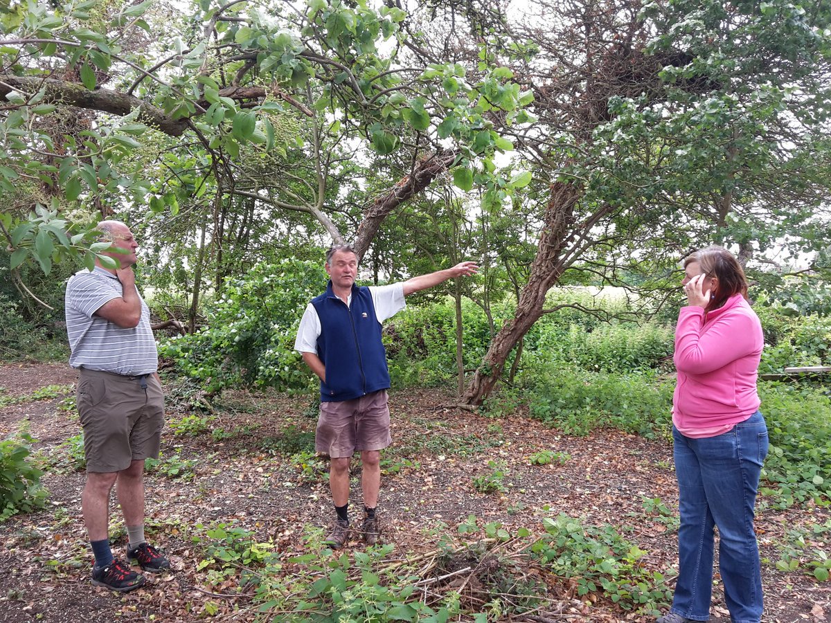 Lots of ideas being discussed today for the wonderful Donkey Lane orchard @greeningchinnor @bbowt @ChilternsAONB @HeritageFundSE @HeritageFundUK @NickMarriner1 #rougharoundtheedges