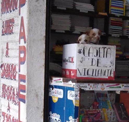 Team Gamergy tweet media