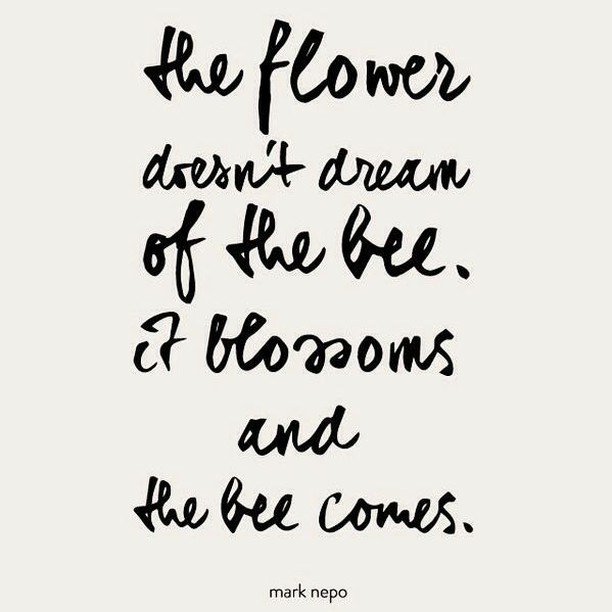 🐝🌼🐝🌼🐝
.
.
.
#travel #mindfulness #mentalhealth #mentalhealthmatters #mentalhealthawareness #365daysofselfcare #retreat #healthylifestyle #adventure #solotravel #wellbeing #welltravelled #luxurytravel #introvert #kindness #travelsolo #qotd #mindfu… ift.tt/2ZKBupZ