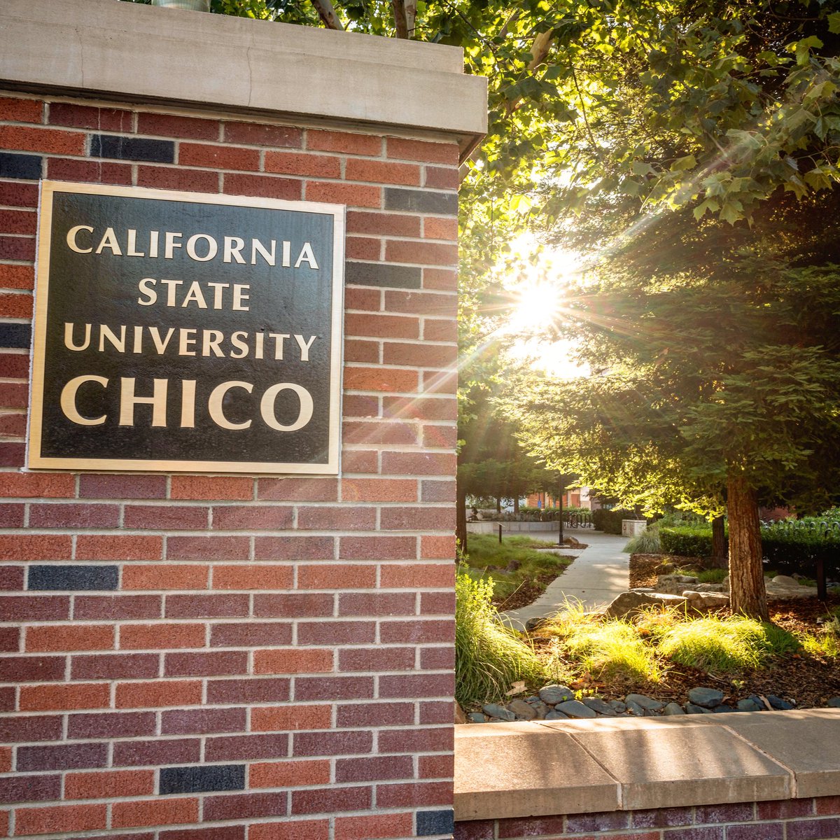 JasonHalley_CSU's tweet image. It’s a great day to be a wildcat! 😻