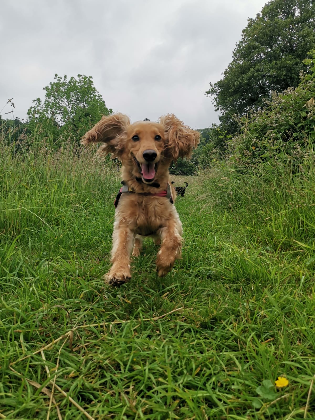 Briony May Williams on Twitter: