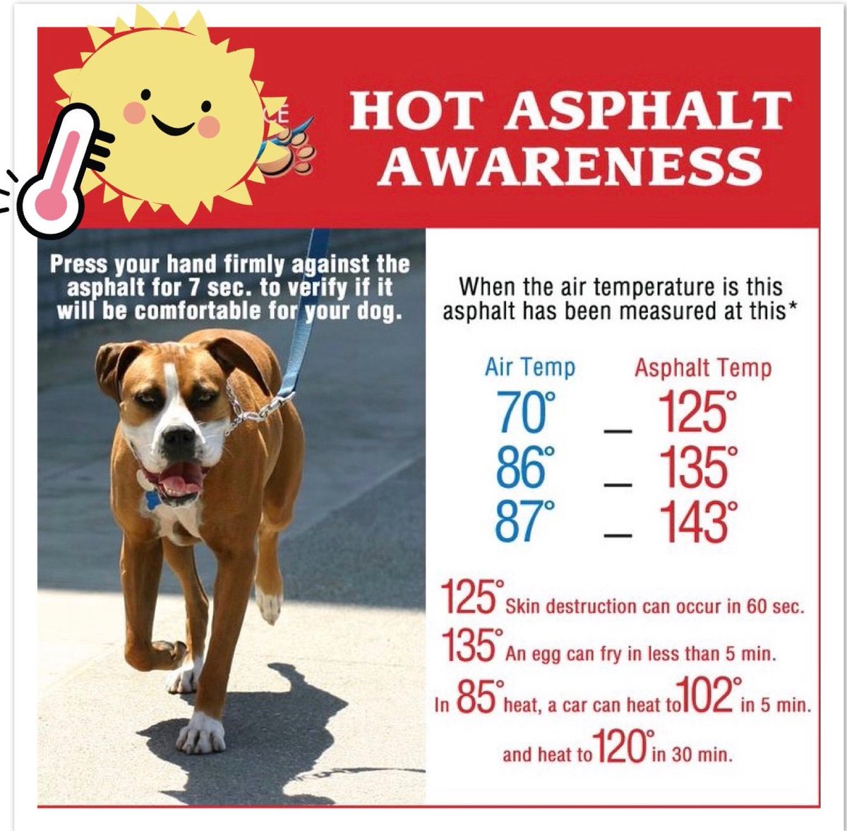 LostDogsIL's tweet photo. Be careful with your dogs and children. Asphalt can get hot even when the temperatures seem ok. #asphalt #dogs #children #temperatures @LostDogsIL https://t.co/yRsZPemUaU