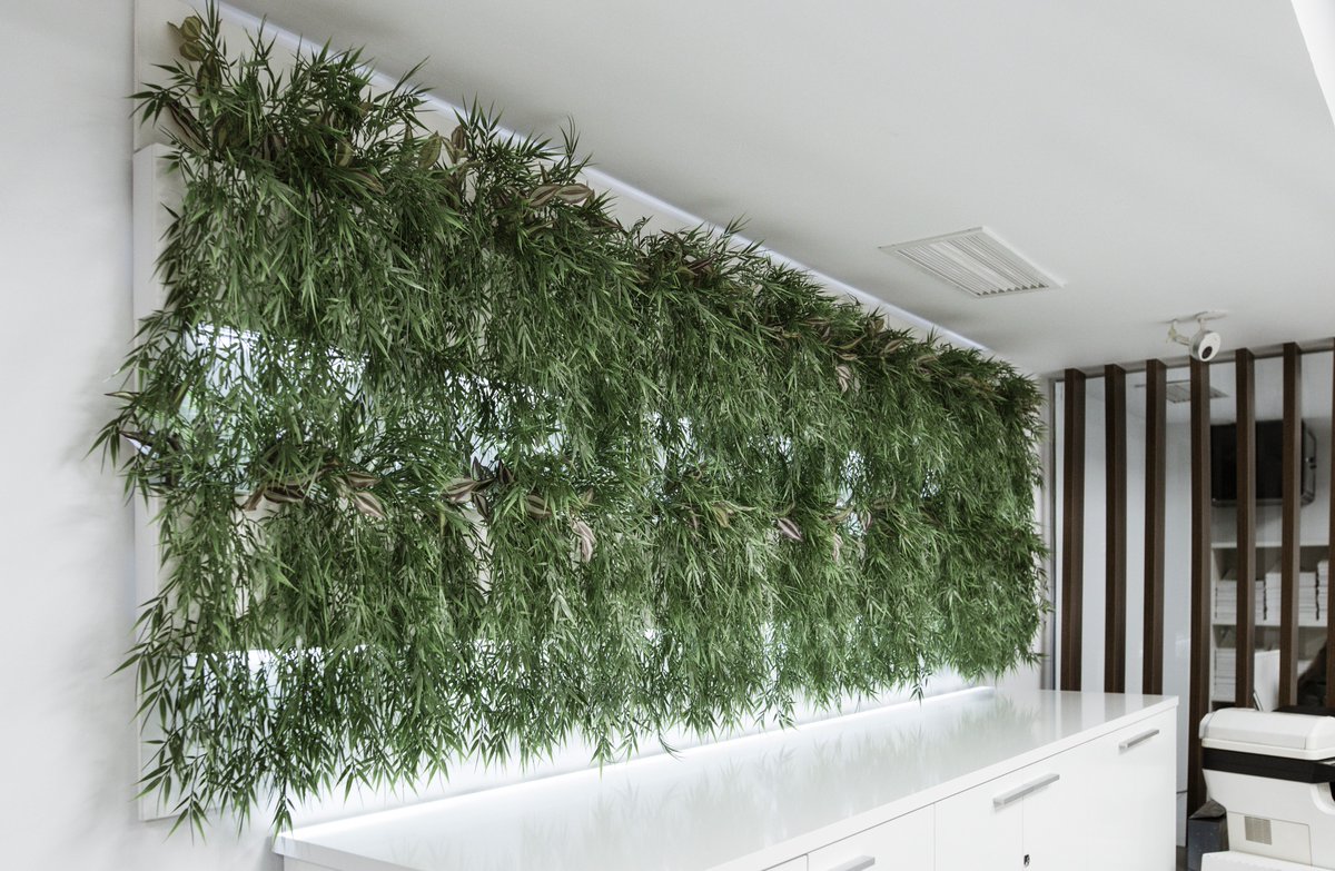 ¿#OlaDeCalor? Refresca tu oficina con una pared de jardín vertical como esta #jardinvertical #weclip #plantas #verde

🙋‍♀️Pero recuerda, reutilizar y apostar por la sostenibilidad es la mejor forma de evitar estos fenómenos #sostenibilidad