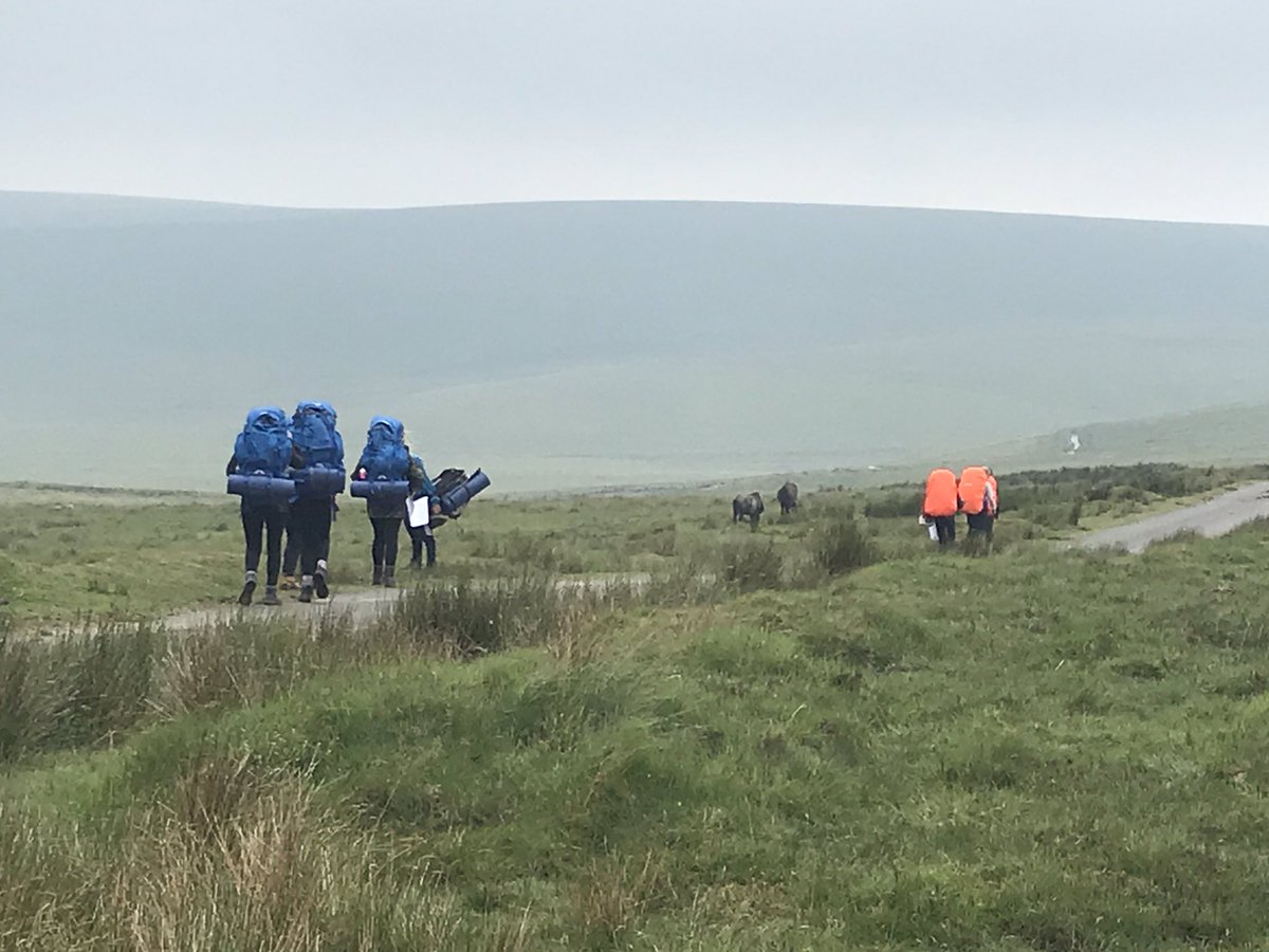 Steve Chapman tweet media