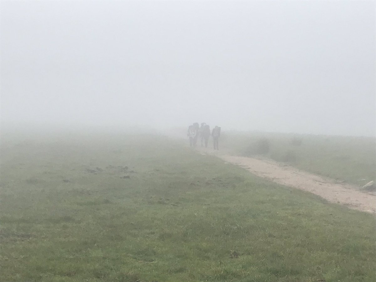 Steve Chapman tweet media