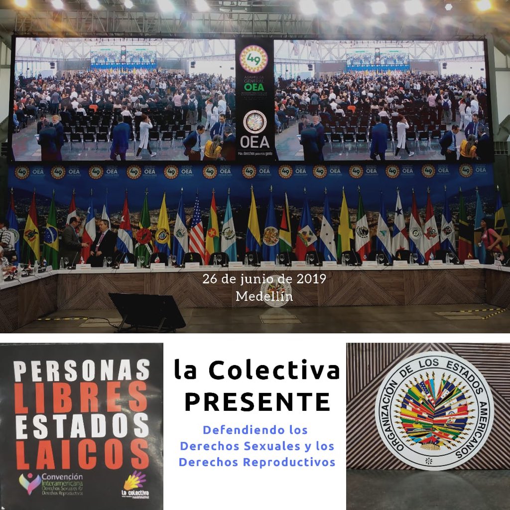 LaColectivaDSDR's tweet photo. La #AsambleaOEA es el órgano supremo de la @OEA_oficial y es quien adopta las normas generales que deben regir el funcionamiento de la Secretaría General. Por eso en la #49OEA, #LaColectivaDSDR exige personas libres, estados laicos. https://t.co/DXtT4cpnSQ